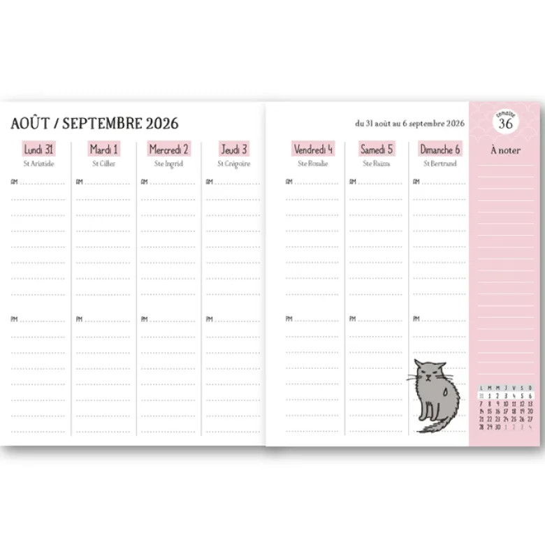 Agenda Chattitudes 2027