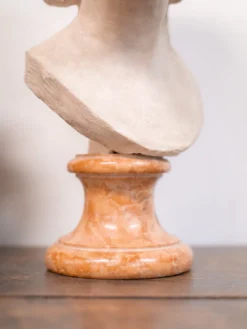 Alix, le buste en plâtre n°457