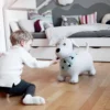 Animal sauteur gonflable chien