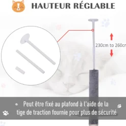 Arbre à chat 5 niveaux d'activités