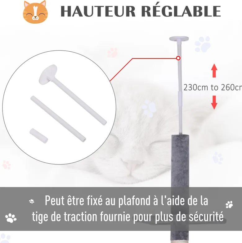 Arbre à chat 5 niveaux d'activités