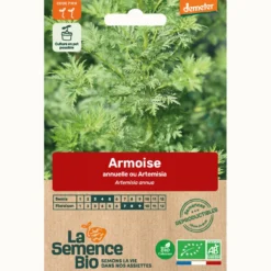 Armoise annuelle bio