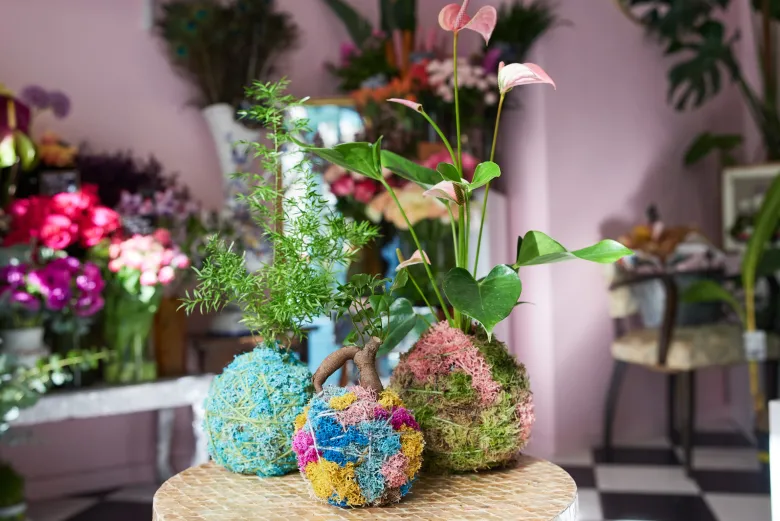 Atelier - kokedama - paris