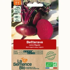 Betterave noire plate d'egypte bio
