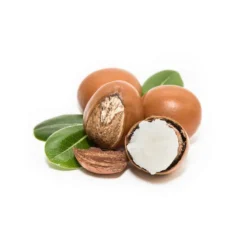 Beurre de karité bio 100 ml