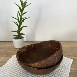 Bol en noix de coco