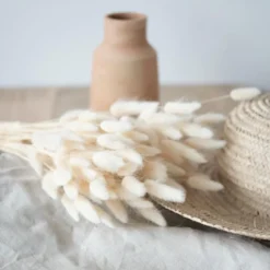 Botte lagurus blanc
