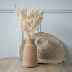 Botte lagurus blanc