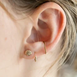 Boucles d'oreilles or puces coquillage
