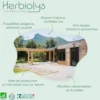 Bouillon blanc bio