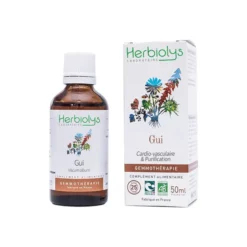 Bourgeons de gui 50 ml bio
