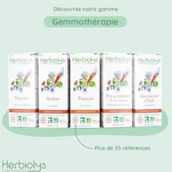 Bourgeons de pommier 50 ml bio