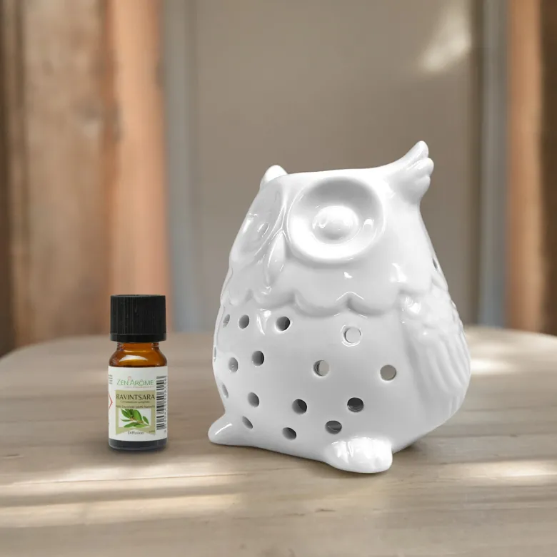 Brûle parfum hibou