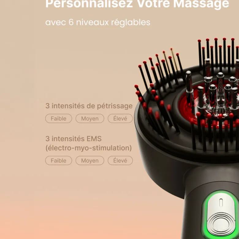 Brosse de massage cuir chevelu LED 3 en 1 rechargeable Renpho