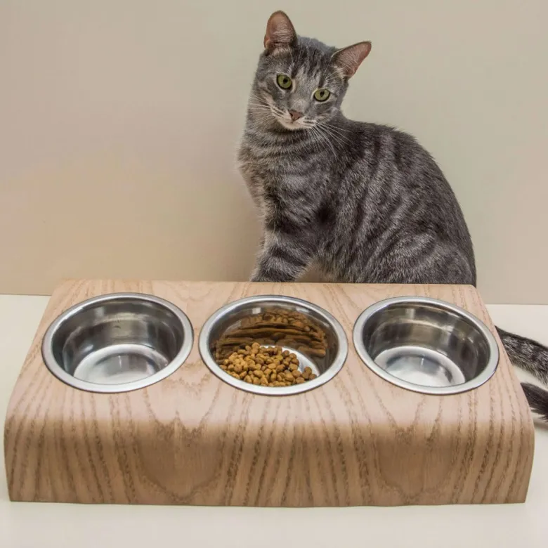 Buvo, gamelle ergonomique chat en chêne