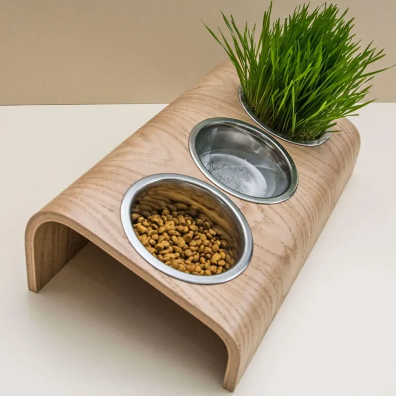 Buvo, gamelle ergonomique chat en chêne