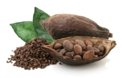 Cacaotines chocolat BIO