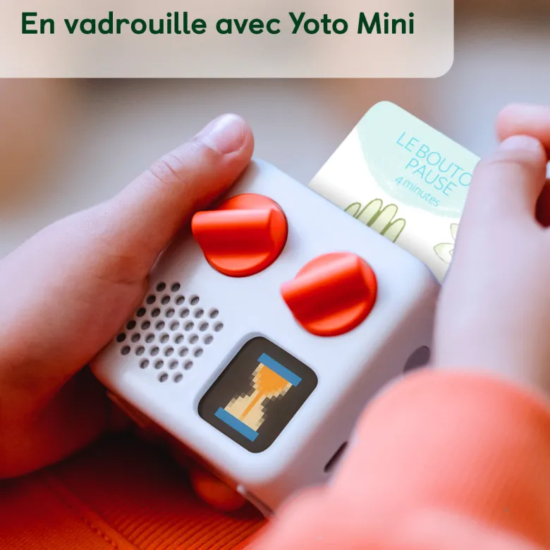 Calme et attentif comme une grenouille