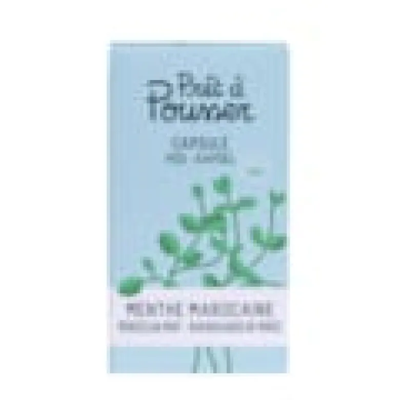 Capsule de graines bio menthe marocaine