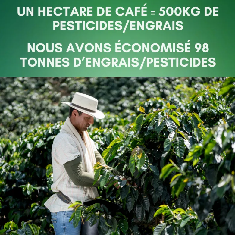 360 capsules nespresso® home compost bio du brésil - mexique
