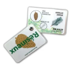 Carnet arbres, feuillus et résineux