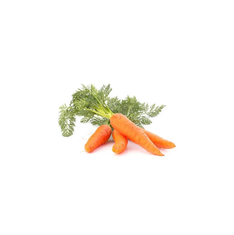 Carotte - macérât huileux bio - 100ml - flacon en verre