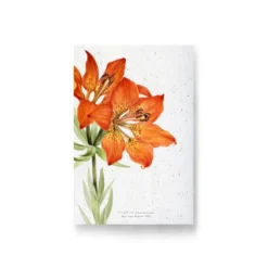 Carte à planter - lys rouge