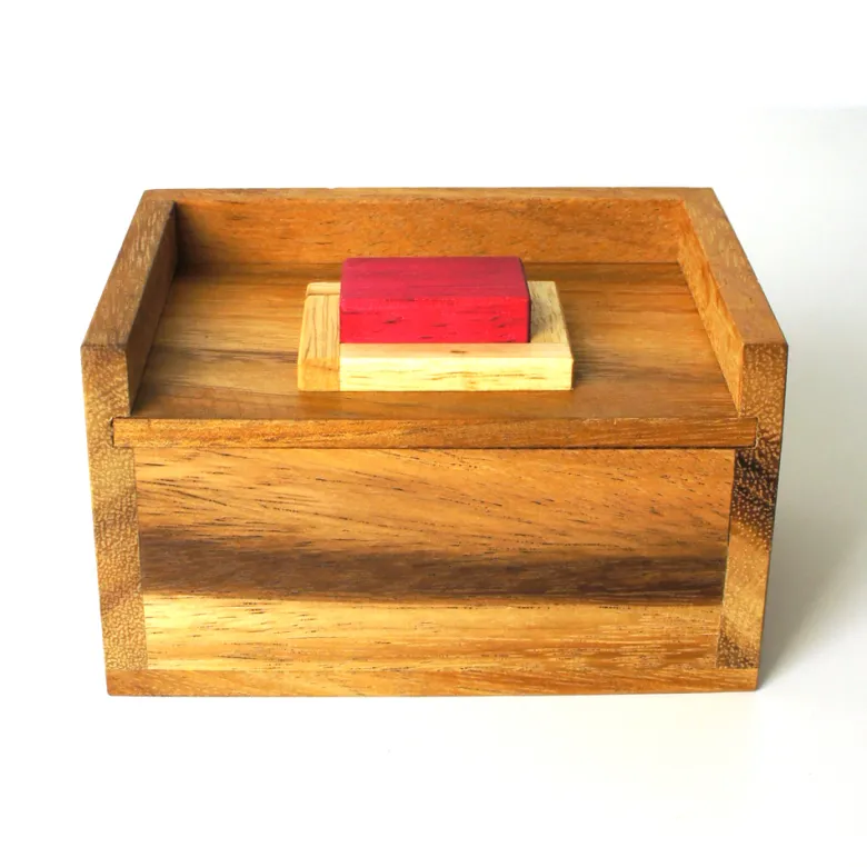 Casse-tête le bouton poussoir