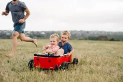 Chariot wishbone wagon 3 en 1