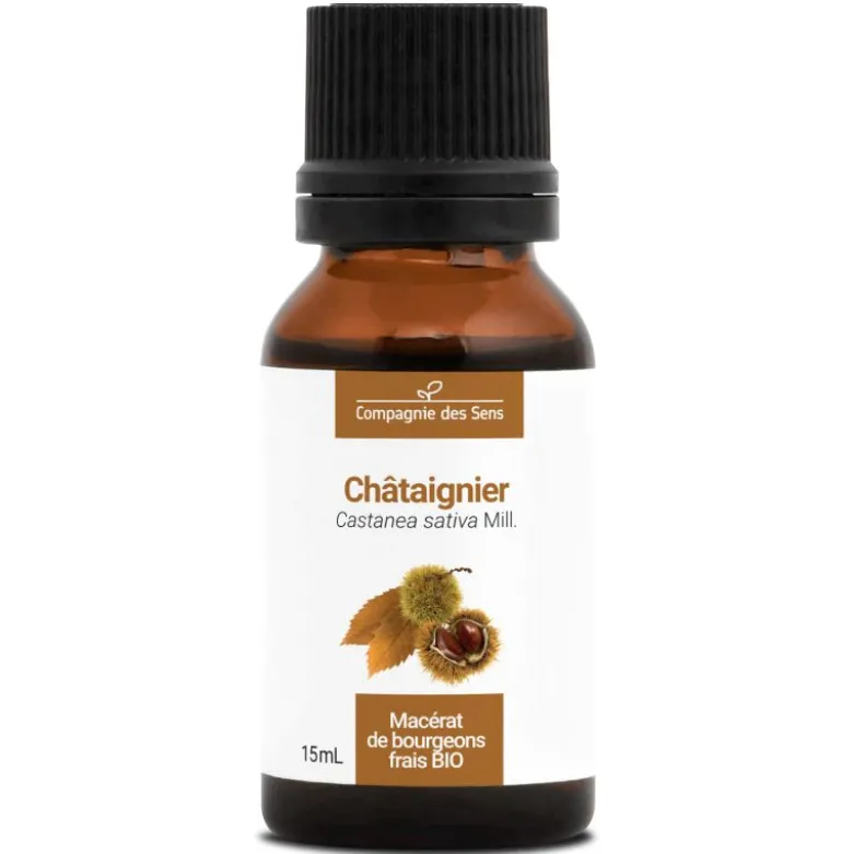 Châtaignier bio - 15ml (castanea sativa) – macérat concentré de bourgeons frais 15
