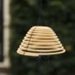 Citronnelle suspendue