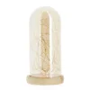 Cloche de verre et sa guirlande