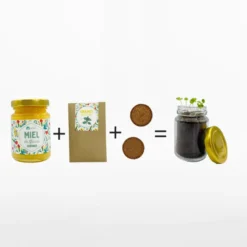 Coffret bee box