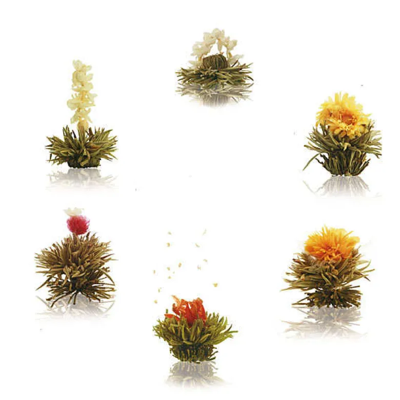 Coffret 6 fleurs de thé blanc