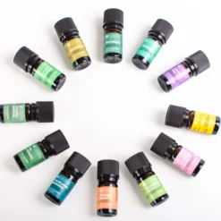 Coffret 12 huiles essentielles bio