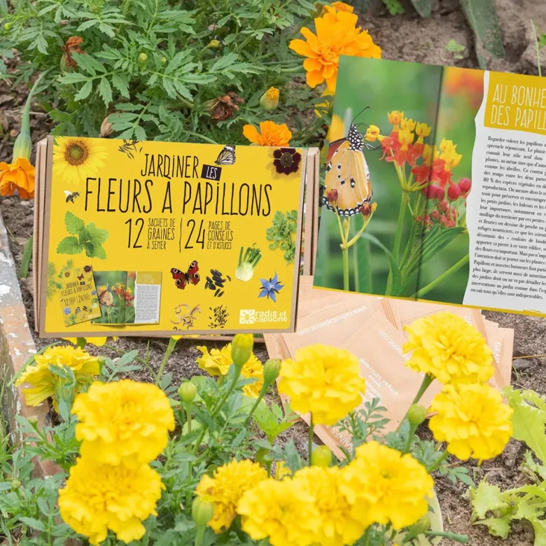Coffret : je fais pousser mes 12 fleurs à papillons