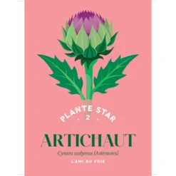 Coffret Mes cartes herboristerie
