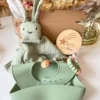 Coffret naissance lapin vert