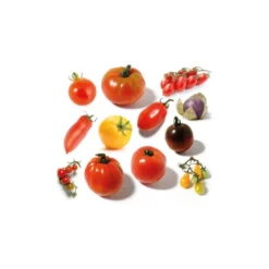 Coffret 12 sachets tomates anciennes