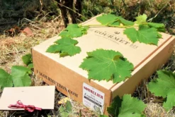 Coffret vins bulles blanc rouge