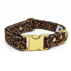 Collier le léopard - taille xs