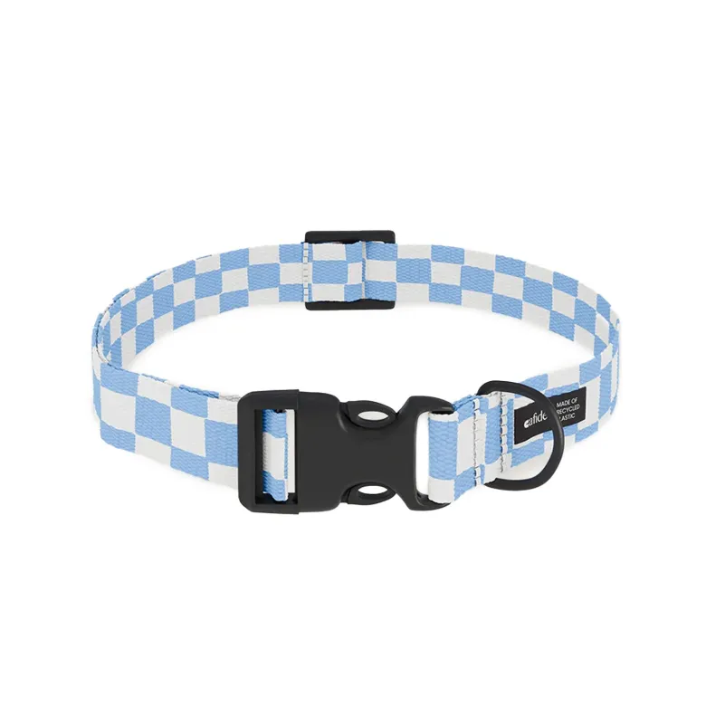 Collier pet recyclé xs - bleu