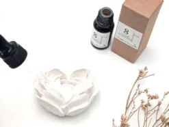 Concentré de parfum pour plâtre figue