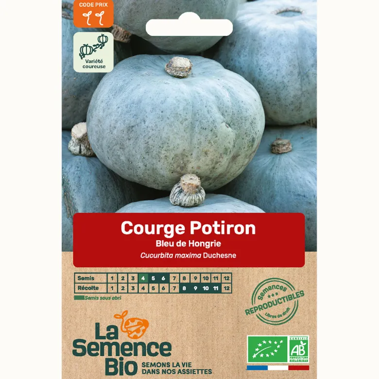 Courge potiron bleu de hongrie bio