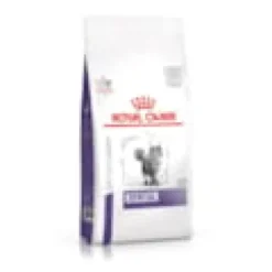 Croquettes chat veterinary cat dental - royal canin
