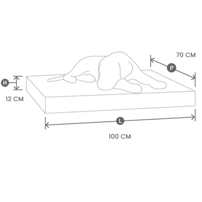 Dauphine, lit chien orthopédique mocca l