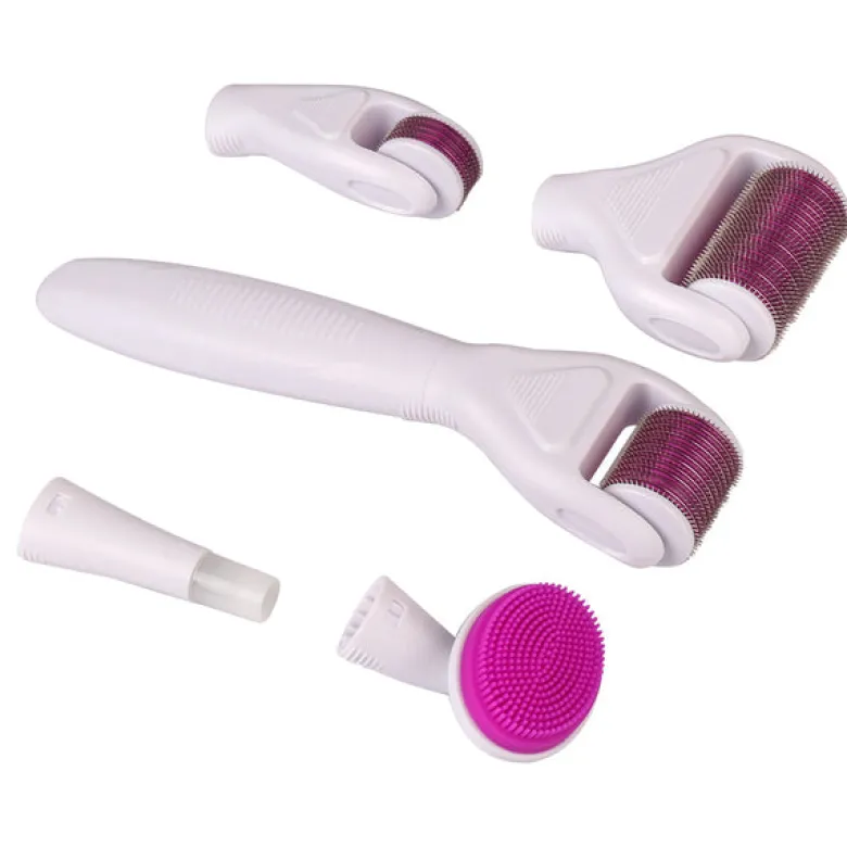 Dermaroller micro aiguilles 6en1