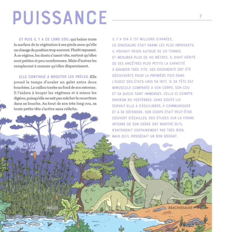 Devine qui je suis - Les dinosaures
