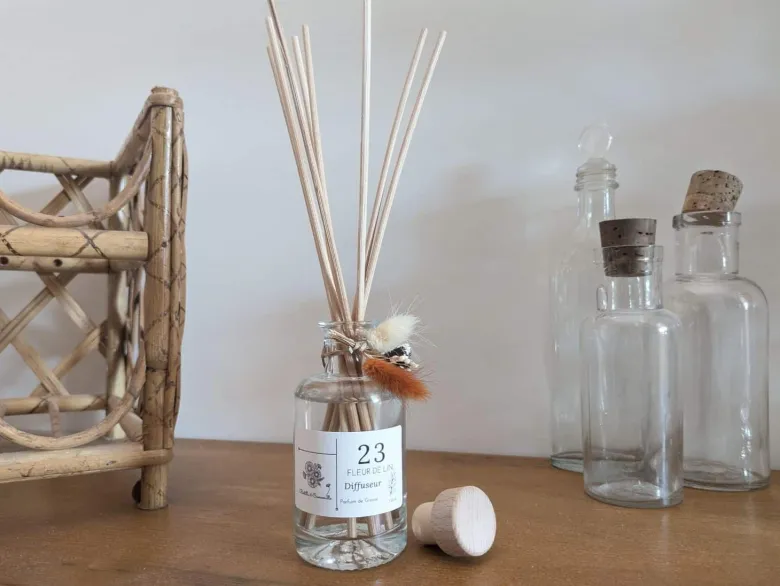 Diffuseur à bâtonnets 100ml coton