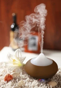 Diffuseur d'huile essentielle néobulle